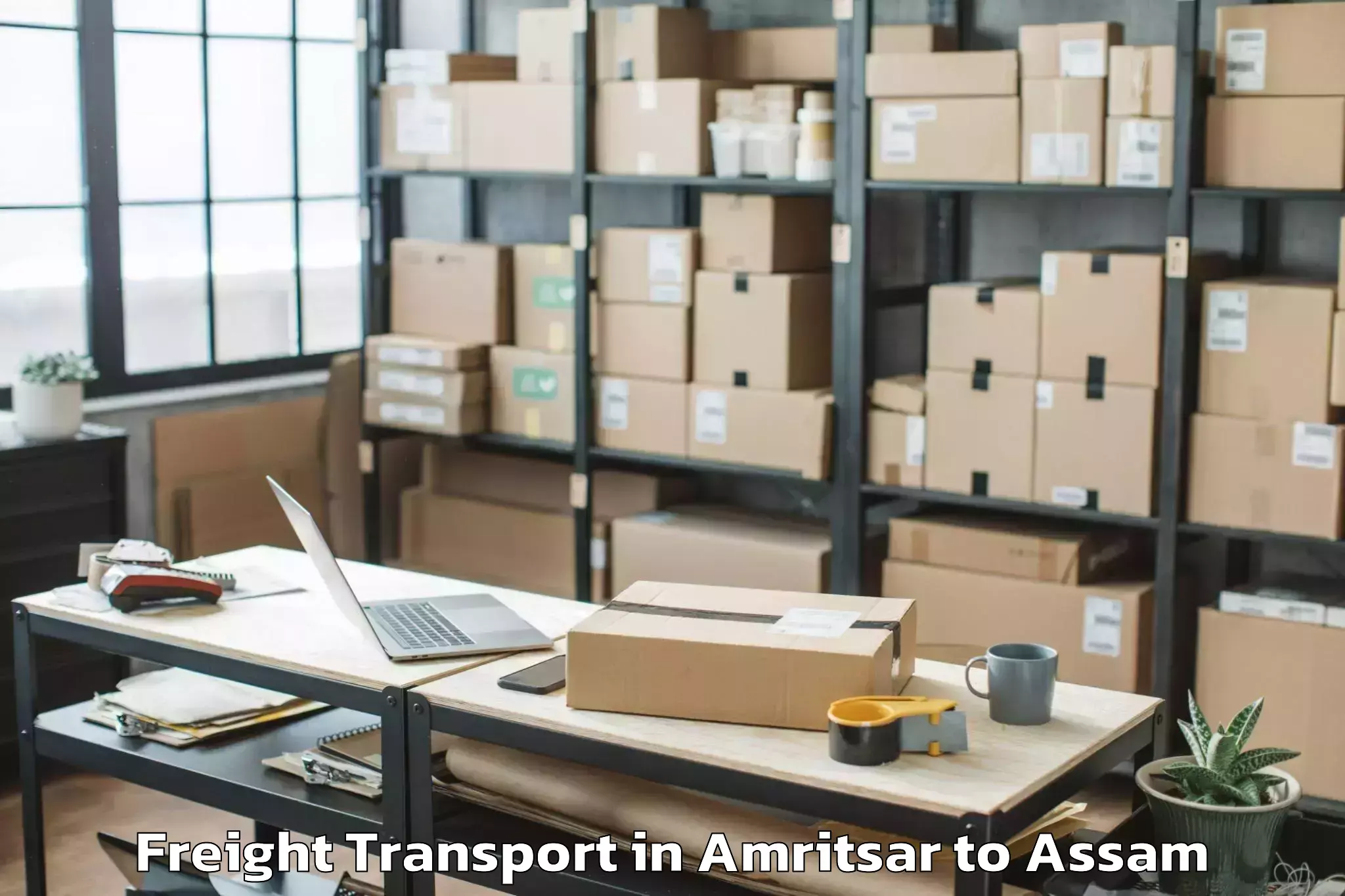 Leading Amritsar to Sonabarighat Freight Transport Provider